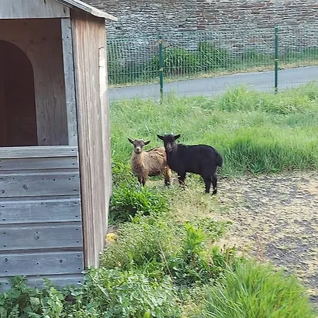 Holiday home Le Cabanon Huisnes-sur-Mer