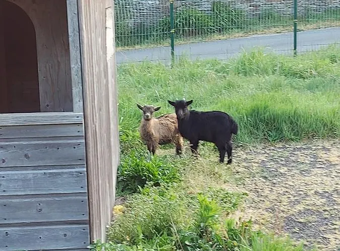 Casa vacanze Le Cabanon Huisnes-sur-Mer